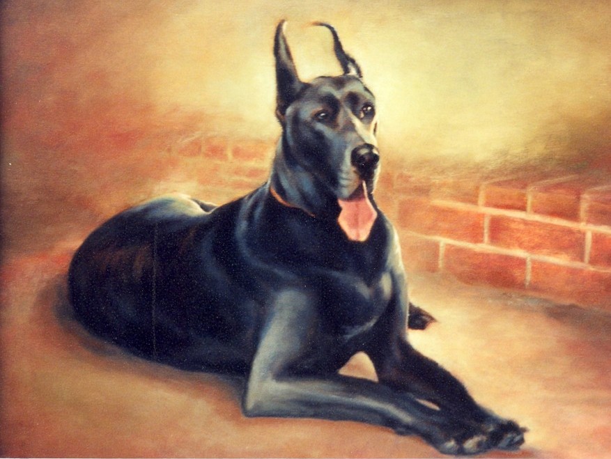 Black Dog - Oil - 16 x 20 - Sold