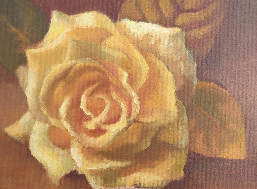 Studio - Yellow Rose - 6x8 - Available